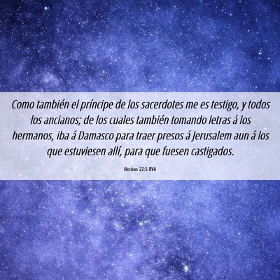 Picture 06 - Hechos 22:5 RVA - Como también el príncipe de los sacerdotes me - Bible Verse Picture