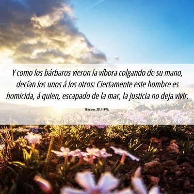 Picture 06 - Hechos 28:4 RVA - Y como los bárbaros vieron la víbora colgando - Bible Verse Picture
