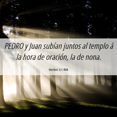 Picture 06 - Hechos 3:1 RVA - PEDRO y Juan subían juntos al templo á la hora - Bible Verse Picture
