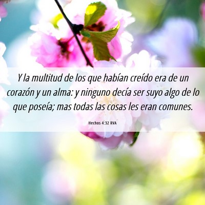 Picture 06 - Hechos 4:32 RVA - Y la multitud de los que habían creído era de - Bible Verse Picture