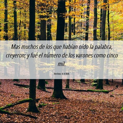 Picture 06 - Hechos 4:4 RVA - Mas muchos de los que habían oído la palabra, - Bible Verse Picture
