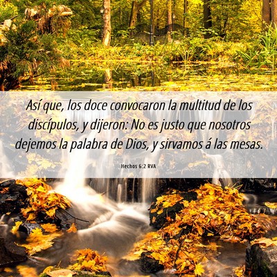 Picture 06 - Hechos 6:2 RVA - Así que, los doce convocaron la multitud de los - Bible Verse Picture