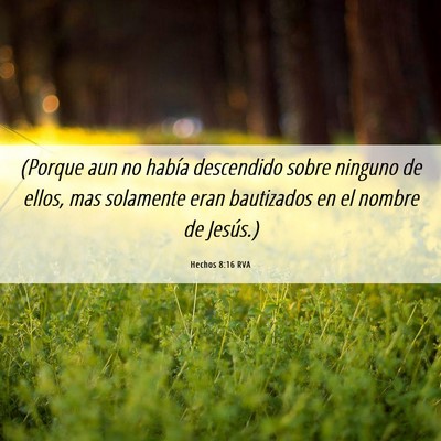 Picture 06 - Hechos 8:16 RVA - (Porque aun no había descendido sobre ninguno de - Bible Verse Picture