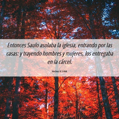 Picture 06 - Hechos 8:3 RVA - Entonces Saulo asolaba la iglesia, entrando por - Bible Verse Picture