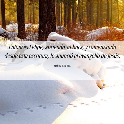 Picture 06 - Hechos 8:35 RVA - Entonces Felipe, abriendo su boca, y comenzando - Bible Verse Picture