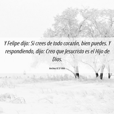 Picture 06 - Hechos 8:37 RVA - Y Felipe dijo: Si crees de todo corazón, bien - Bible Verse Picture