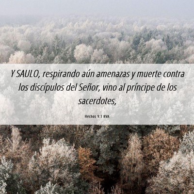 Picture 06 - Hechos 9:1 RVA - Y SAULO, respirando aún amenazas y muerte contra - Bible Verse Picture