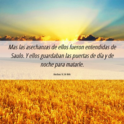 Picture 06 - Hechos 9:24 RVA - Mas las asechanzas de ellos fueron entendidas de - Bible Verse Picture