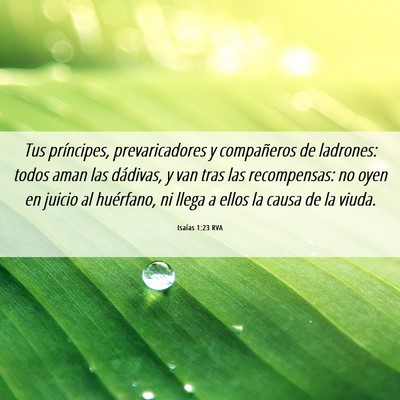 Picture 06 - Isaías 1:23 RVA - Tus príncipes, prevaricadores y compañeros de - Bible Verse Picture