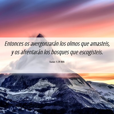 Picture 06 - Isaías 1:29 RVA - Entonces os avergonzarán los olmos que amasteis, - Bible Verse Picture