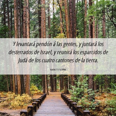 Picture 06 - Isaías 11:12 RVA - Y levantará pendón á las gentes, y juntará - Bible Verse Picture