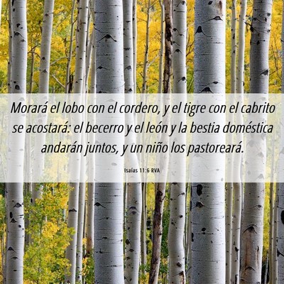 Picture 06 - Isaías 11:6 RVA - Morará el lobo con el cordero, y el tigre con el - Bible Verse Picture