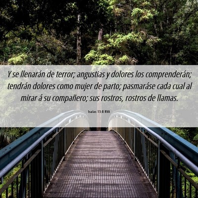 Picture 06 - Isaías 13:8 RVA - Y se llenarán de terror; angustias y dolores los - Bible Verse Picture
