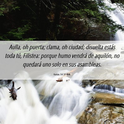 Picture 06 - Isaías 14:31 RVA - Aulla, oh puerta; clama, oh ciudad; disuelta - Bible Verse Picture