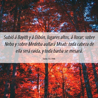 Picture 06 - Isaías 15:2 RVA - Subió á Bayith y á Dibón, lugares altos, á - Bible Verse Picture
