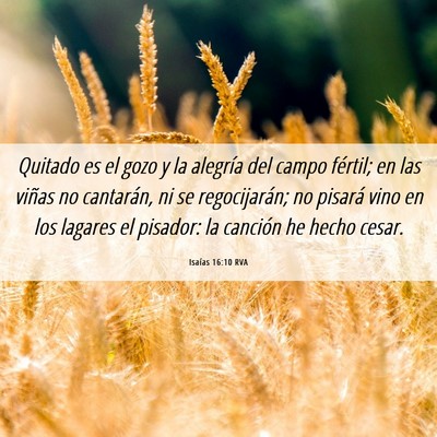 Picture 06 - Isaías 16:10 RVA - Quitado es el gozo y la alegría del campo - Bible Verse Picture