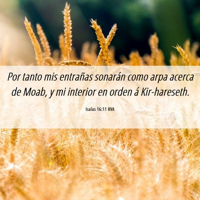 Picture 06 - Isaías 16:11 RVA - Por tanto mis entrañas sonarán como arpa acerca - Bible Verse Picture