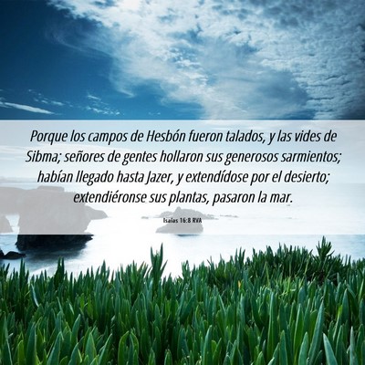 Picture 06 - Isaías 16:8 RVA - Porque los campos de Hesbón fueron talados, y - Bible Verse Picture