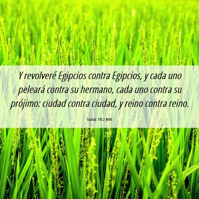 Picture 06 - Isaías 19:2 RVA - Y revolveré Egipcios contra Egipcios, y cada uno - Bible Verse Picture