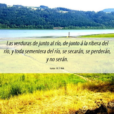 Picture 06 - Isaías 19:7 RVA - Las verduras de junto al río, de junto á la - Bible Verse Picture