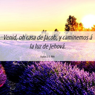 Picture 06 - Isaías 2:5 RVA - Venid, oh casa de Jacob, y caminemos á la luz de - Bible Verse Picture