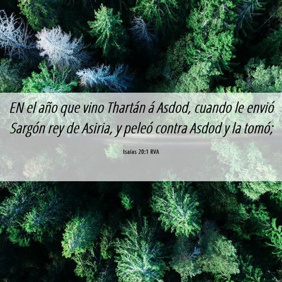 Picture 06 - Isaías 20:1 RVA - EN el año que vino Thartán á Asdod, cuando le - Bible Verse Picture