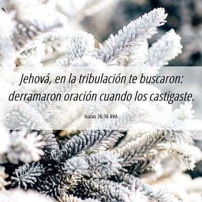 Picture 06 - Isaías 26:16 RVA - Jehová, en la tribulación te buscaron: - Bible Verse Picture