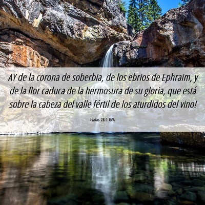 Picture 06 - Isaías 28:1 RVA - AY de la corona de soberbia, de los ebrios de - Bible Verse Picture
