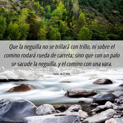 Picture 06 - Isaías 28:27 RVA - Que la neguilla no se trillará con trillo, ni - Bible Verse Picture