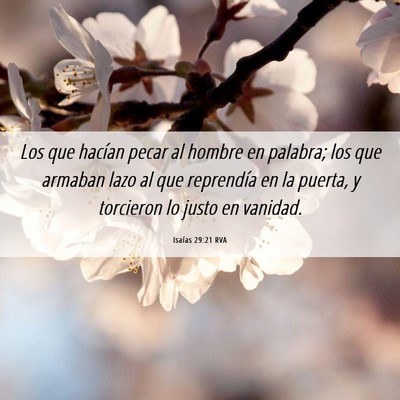 Picture 06 - Isaías 29:21 RVA - Los que hacían pecar al hombre en palabra; los - Bible Verse Picture