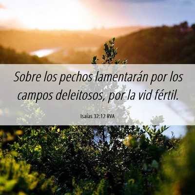 Picture 06 - Isaías 32:12 RVA - Sobre los pechos lamentarán por los campos - Bible Verse Picture