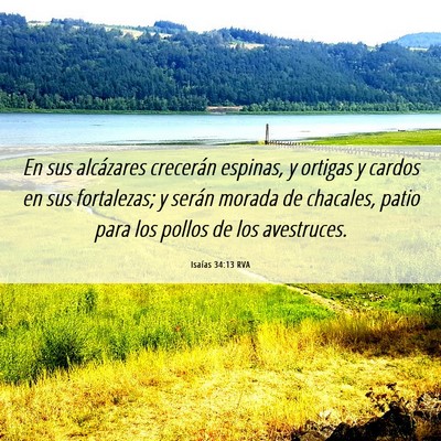 Picture 06 - Isaías 34:13 RVA - En sus alcázares crecerán espinas, y ortigas y - Bible Verse Picture