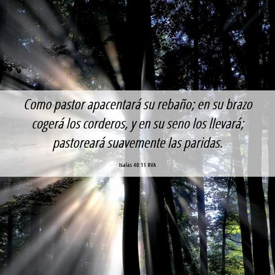 Picture 06 - Isaías 40:11 RVA - Como pastor apacentará su rebaño; en su brazo - Bible Verse Picture