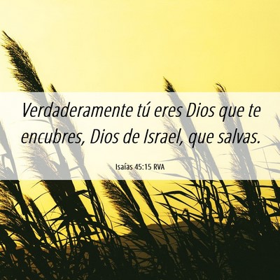 Picture 06 - Isaías 45:15 RVA - Verdaderamente tú eres Dios que te encubres, - Bible Verse Picture