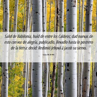 Picture 06 - Isaías 48:20 RVA - Salid de Babilonia, huid de entre los Caldeos; - Bible Verse Picture