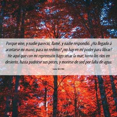 Picture 06 - Isaías 50:2 RVA - Porque vine, y nadie pareció; llamé, y nadie - Bible Verse Picture