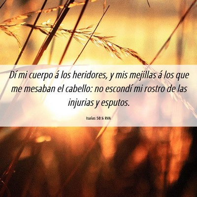Picture 06 - Isaías 50:6 RVA - Dí mi cuerpo á los heridores, y mis mejillas á - Bible Verse Picture