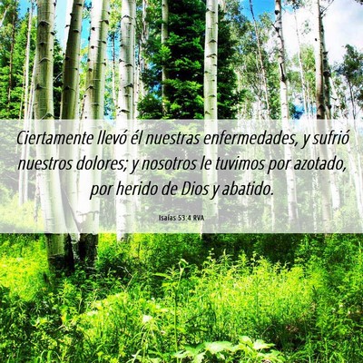 Picture 06 - Isaías 53:4 RVA - Ciertamente llevó él nuestras enfermedades, y - Bible Verse Picture
