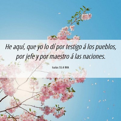 Picture 06 - Isaías 55:4 RVA - He aquí, que yo lo dí por testigo á los - Bible Verse Picture