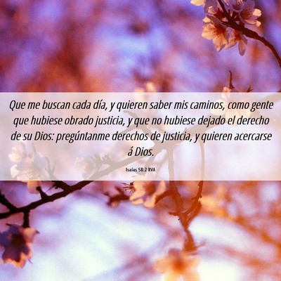 Picture 06 - Isaías 58:2 RVA - Que me buscan cada día, y quieren saber mis - Bible Verse Picture