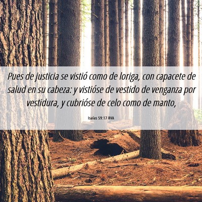 Picture 06 - Isaías 59:17 RVA - Pues de justicia se vistió como de loriga, con - Bible Verse Picture