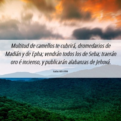 Picture 06 - Isaías 60:6 RVA - Multitud de camellos te cubrirá, dromedarios de - Bible Verse Picture