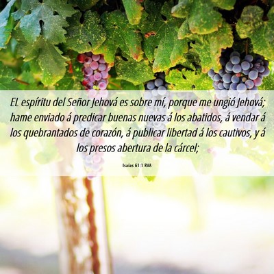 Picture 06 - Isaías 61:1 RVA - EL espíritu del Señor Jehová es sobre mí, - Bible Verse Picture