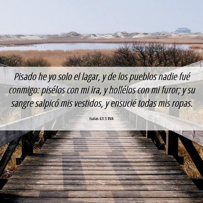 Picture 06 - Isaías 63:3 RVA - Pisado he yo solo el lagar, y de los pueblos - Bible Verse Picture