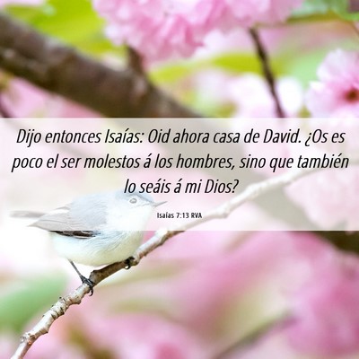 Picture 06 - Isaías 7:13 RVA - Dijo entonces Isaías: Oid ahora casa de David. - Bible Verse Picture