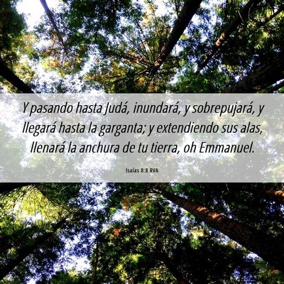 Picture 06 - Isaías 8:8 RVA - Y pasando hasta Judá, inundará, y sobrepujará, - Bible Verse Picture