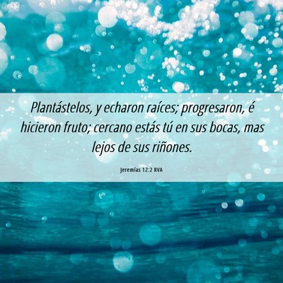 Picture 06 - Jeremías 12:2 RVA - Plantástelos, y echaron raíces; progresaron, é - Bible Verse Picture