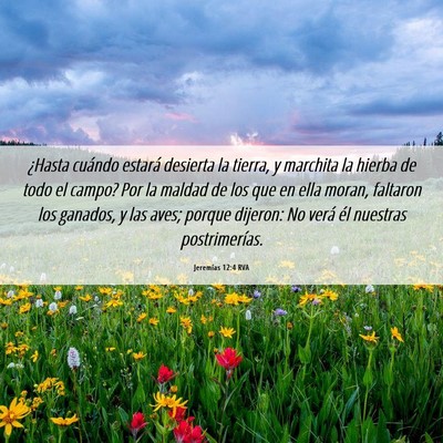 Picture 06 - Jeremías 12:4 RVA - ¿Hasta cuándo estará desierta la tierra, y - Bible Verse Picture