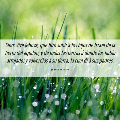 Picture 06 - Jeremías 16:15 RVA - Sino: Vive Jehová, que hizo subir á los hijos - Bible Verse Picture