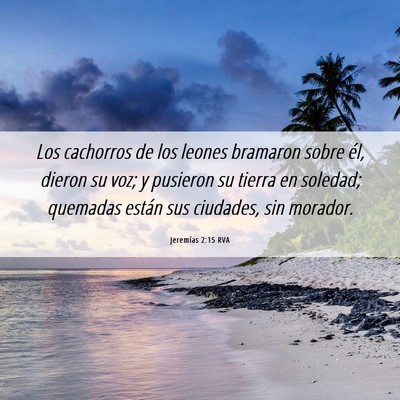 Picture 06 - Jeremías 2:15 RVA - Los cachorros de los leones bramaron sobre él, - Bible Verse Picture